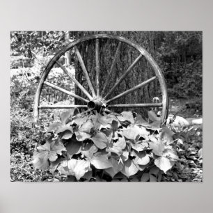 Poster Jardin Vieux Wagon Roue Noir et Blanc