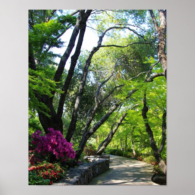 Poster Jardins botaniques, sentier, érables (Devant)