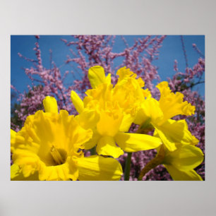 Poster Jaune Daffodil Fleurs d'art estampes Nature Floral