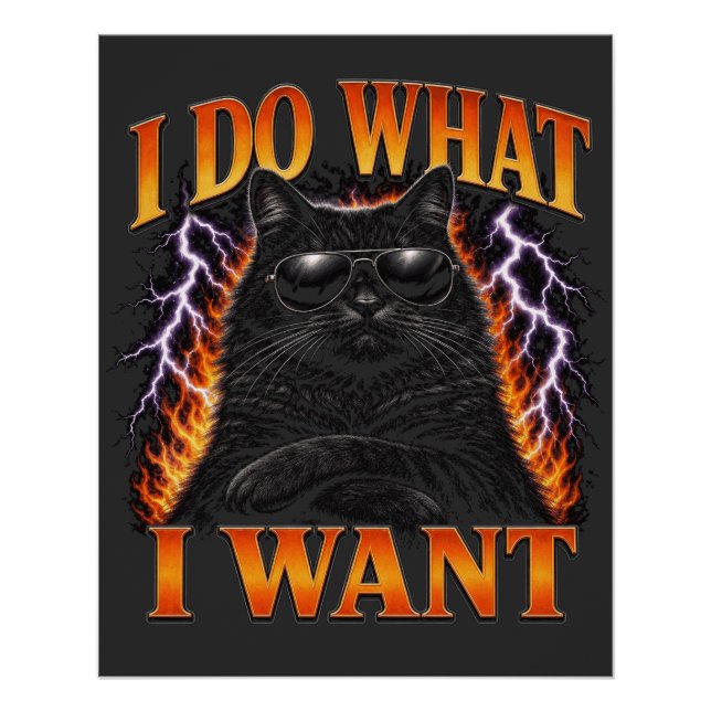 Poster Je Fais Ce Que Je Veux Chat Noir Rebelle Cool (Devant)
