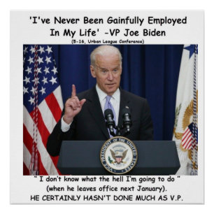 Poster "Je n'ai jamais été" - Joe Biden profitable