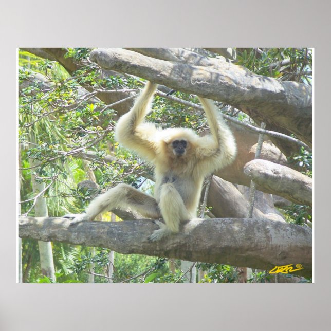 Poster Je ne fais que rester (Devant)