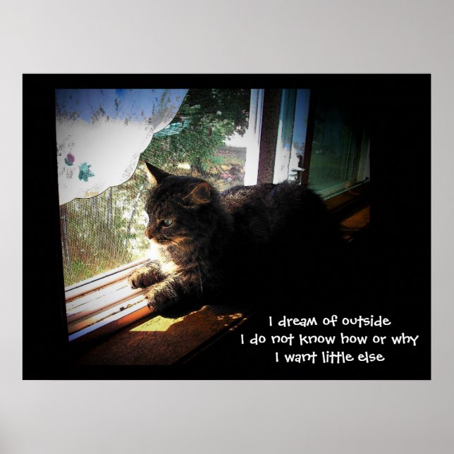 Poster Je rêve de Haiku extérieur (Devant)