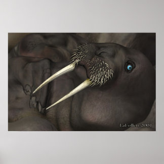 Poster Je Suis Le Walrus