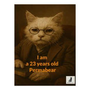 Poster Je suis un Permabear âgé de 23 ans. Les plus ancie