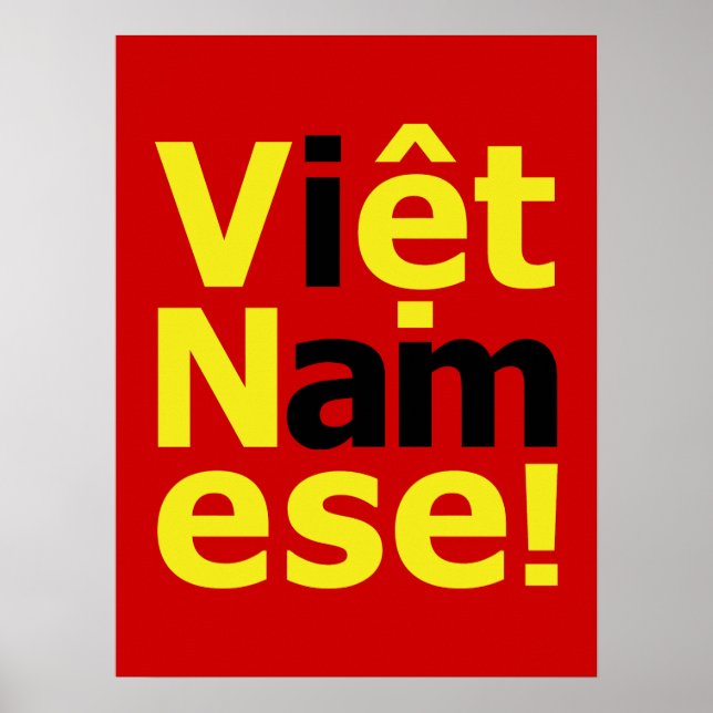 Poster je suis Viêt Namese ! (Devant)