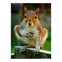 "Je traverse mon coeur"