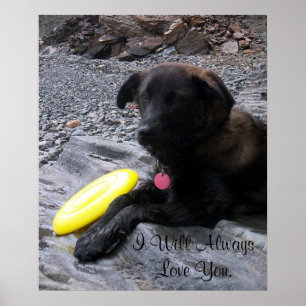 Poster Je Vais Toujours Vous Aimer