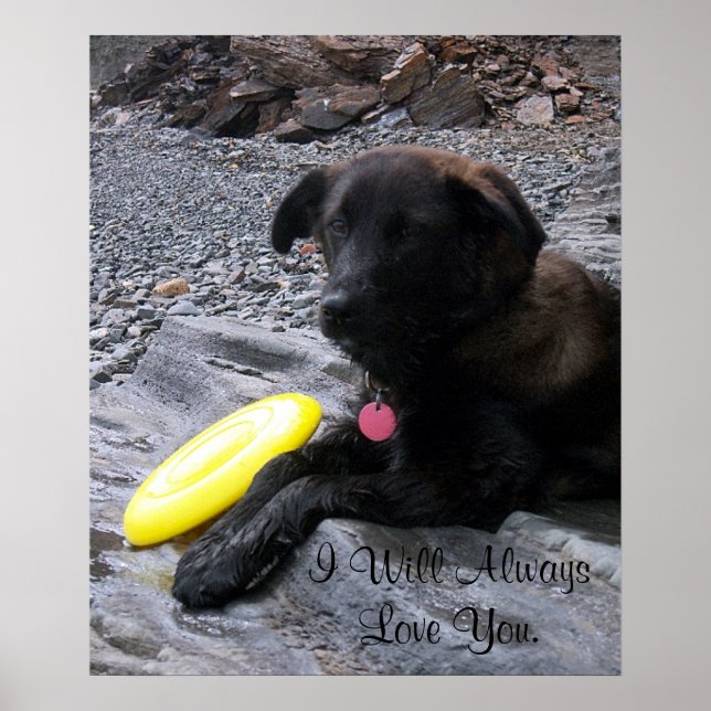 Poster Je Vais Toujours Vous Aimer (Devant)