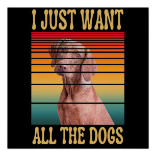 POSTER JE VEUX JUSTE TOUS LES CHIENS 