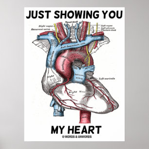 Poster Je Vous Montre Mon Coeur (Anatomie Du Coeur)