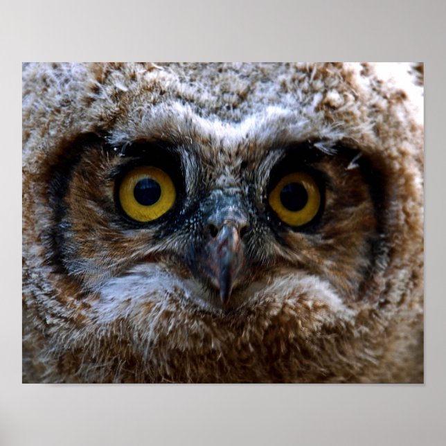 Poster Je vous regarde (Devant)