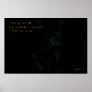 Poster Je vous vois la nuit Cat Haiku
