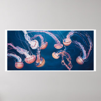 Poster Jellyfish Jam par Paul Jackson, aws, news