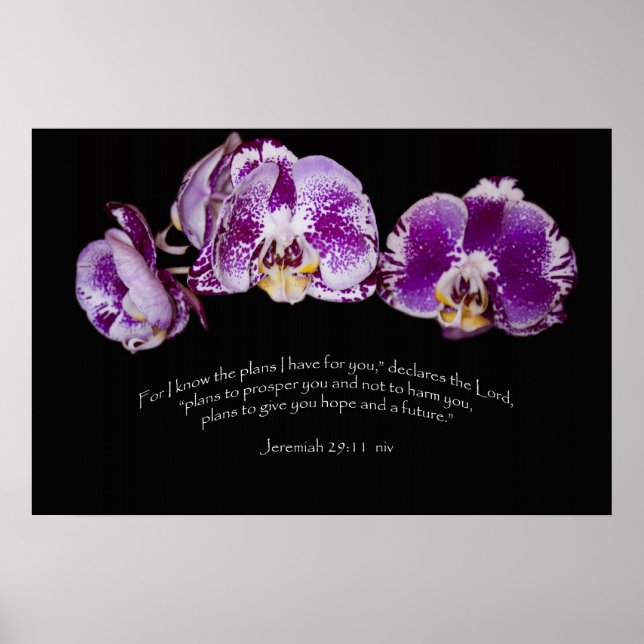 Poster Jeremiah 29:11 (Devant)