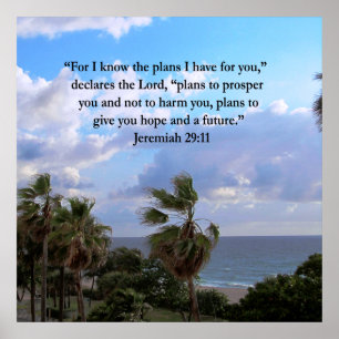 POSTER JEREMIAH 29:11 INSPIRATIONNEL VERSE