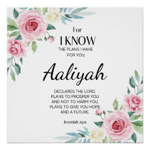 Poster Jeremiah 29:11 Rose Personnaliser