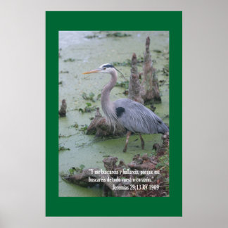 Poster Jeremias 29:13 Cartel