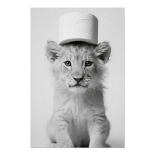Poster Jeune lion drôle portant un chapeau en papier toil