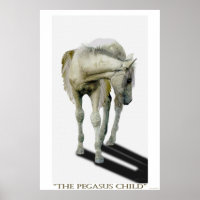 Jeune Pegasus Colt Imaginaire Art
