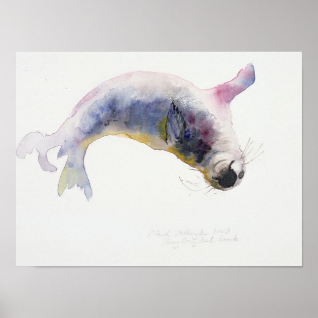 Poster Jeune phoque gris Gweek 2003 (Devant)