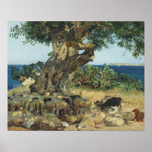 Poster Joaquin Sorolla - Le Carob Tree (Devant)