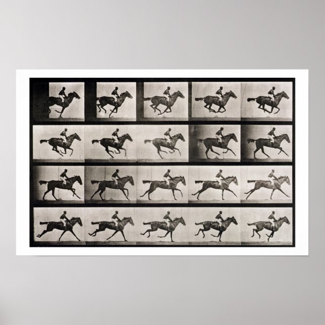 Poster Jockey sur un cheval galopant, plaque 627 de 'Anim (Devant)