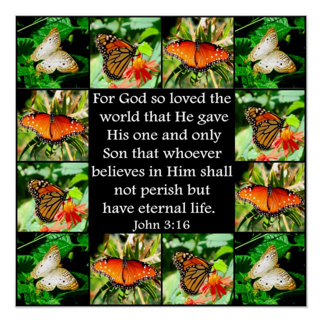 POSTER JOHN 3:16 BUTTERFLY DESIGN (Devant)