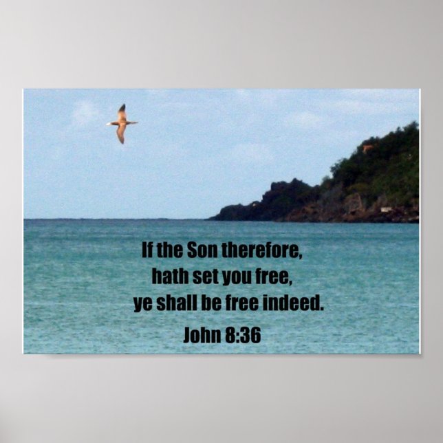 Poster John 8:36 (Devant)