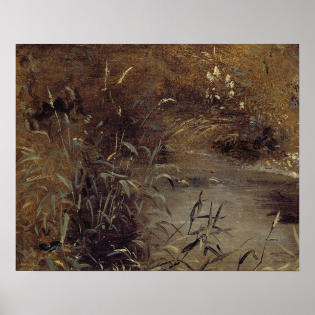 Poster John Constable | Rushes par un Pool, c.1821 (huile (Devant)