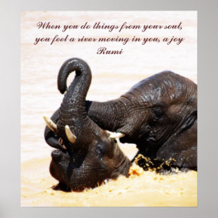 Poster joie Rumi Soul