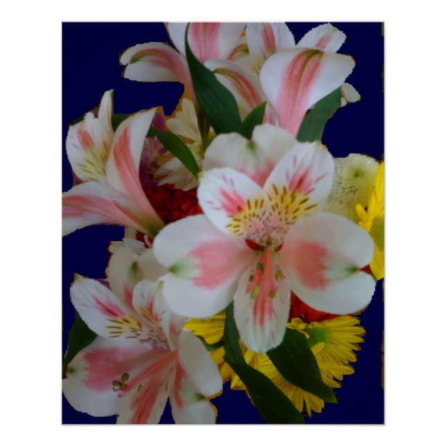 Poster Joli bouquet de lys péruviens blancs et roses  (Devant)