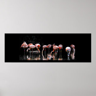 Poster Joli Flamant rose