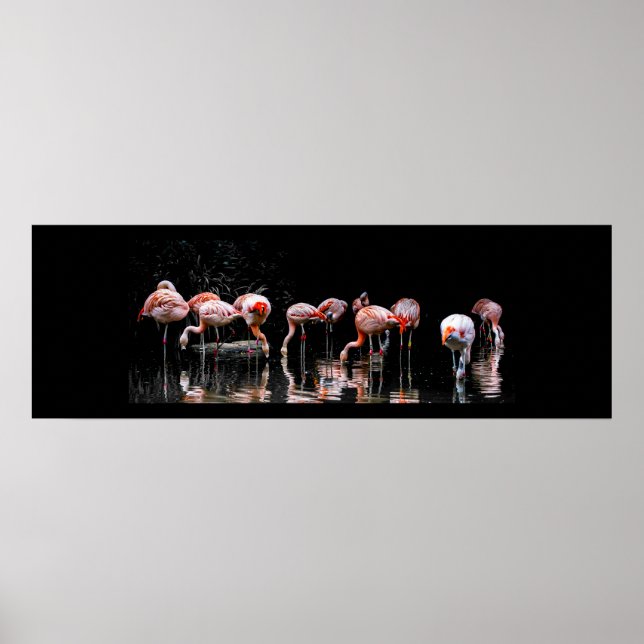 Poster Joli Flamant rose (Devant)