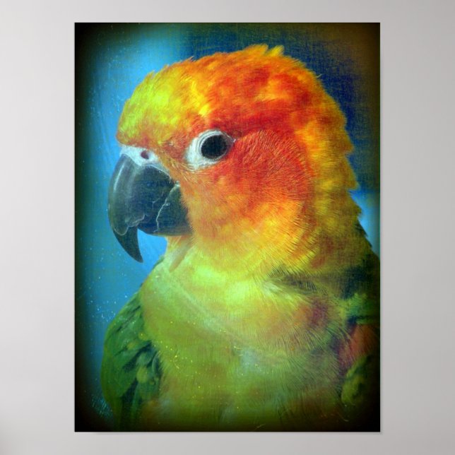 Poster Joli oiseau (Devant)