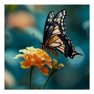 Poster Joli papillon sur une fleur