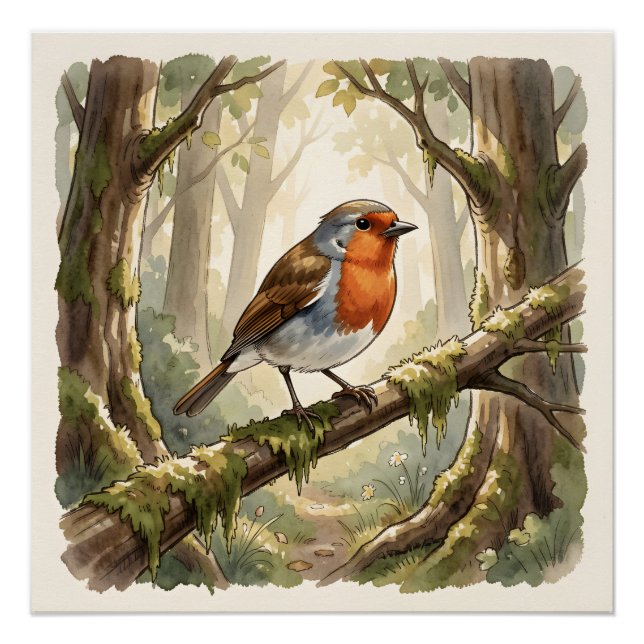 Poster Joli rouge-gorge dans une vieille forêt (Devant)