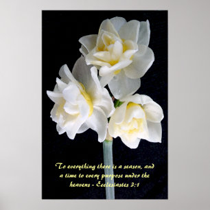 Poster Jonquil Flower - Ecclesiastes 3:1