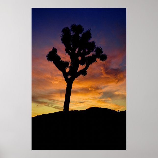 Poster Joshua Tree (Devant)