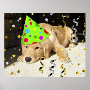 Poster Jour d'anniversaire Golden Retriever