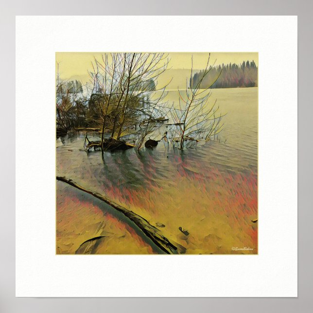 Poster Jour de la pluie (Devant)