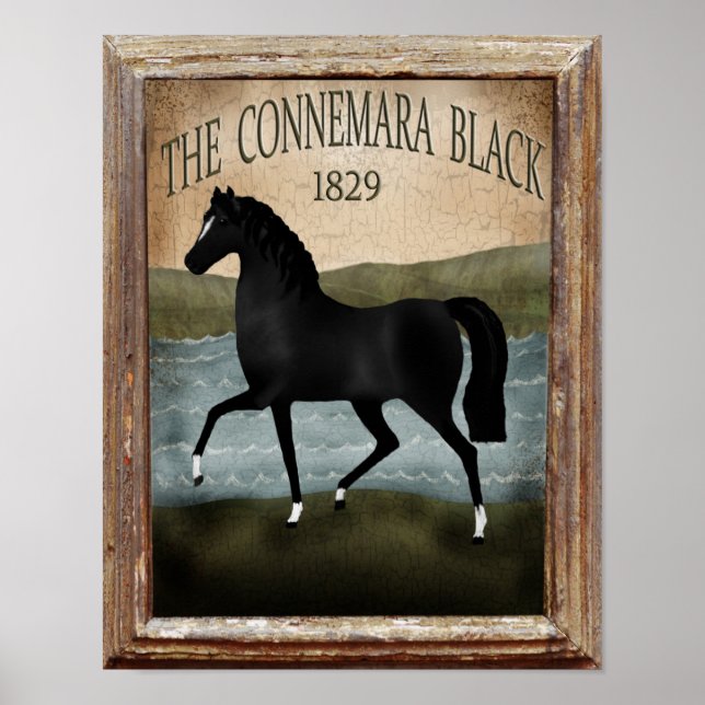 Poster Jour de la Saint Patrick Irish Horse, signature ag (Devant)