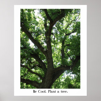 Poster jour des terres Plante-A-Arbre