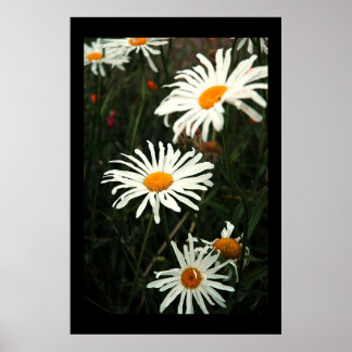 Poster Jours difficiles