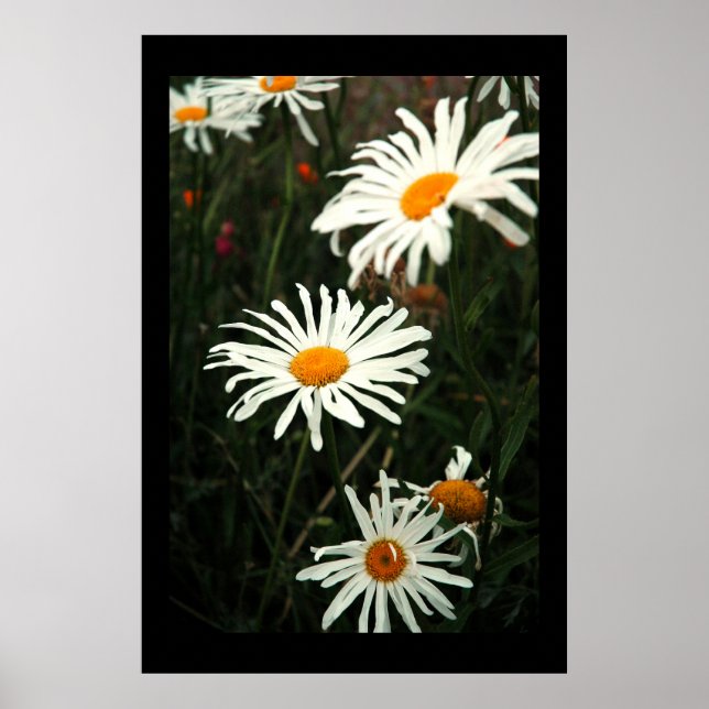 Poster Jours difficiles (Devant)