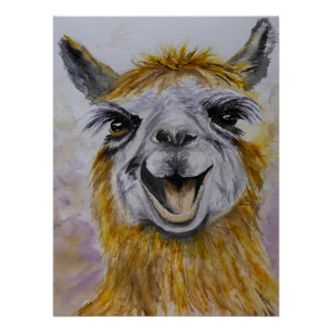 Poster Joyeux Lama
