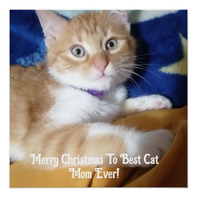 Poster Joyeux Noël à la meilleure maman de chat de tous l (Devant)