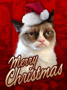 Posters Affiches Toiles Humour Drole Chat Zazzle Fr Posters Affiches Toiles Humour Drole Chat Zazzle Fr