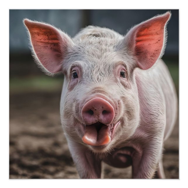 Poster Joyeux Poke de langue de porc blanc, (Devant)