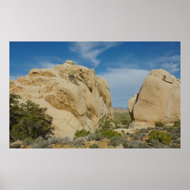 Poster Jumbo Rocks au parc national Joshua Tree (Devant)